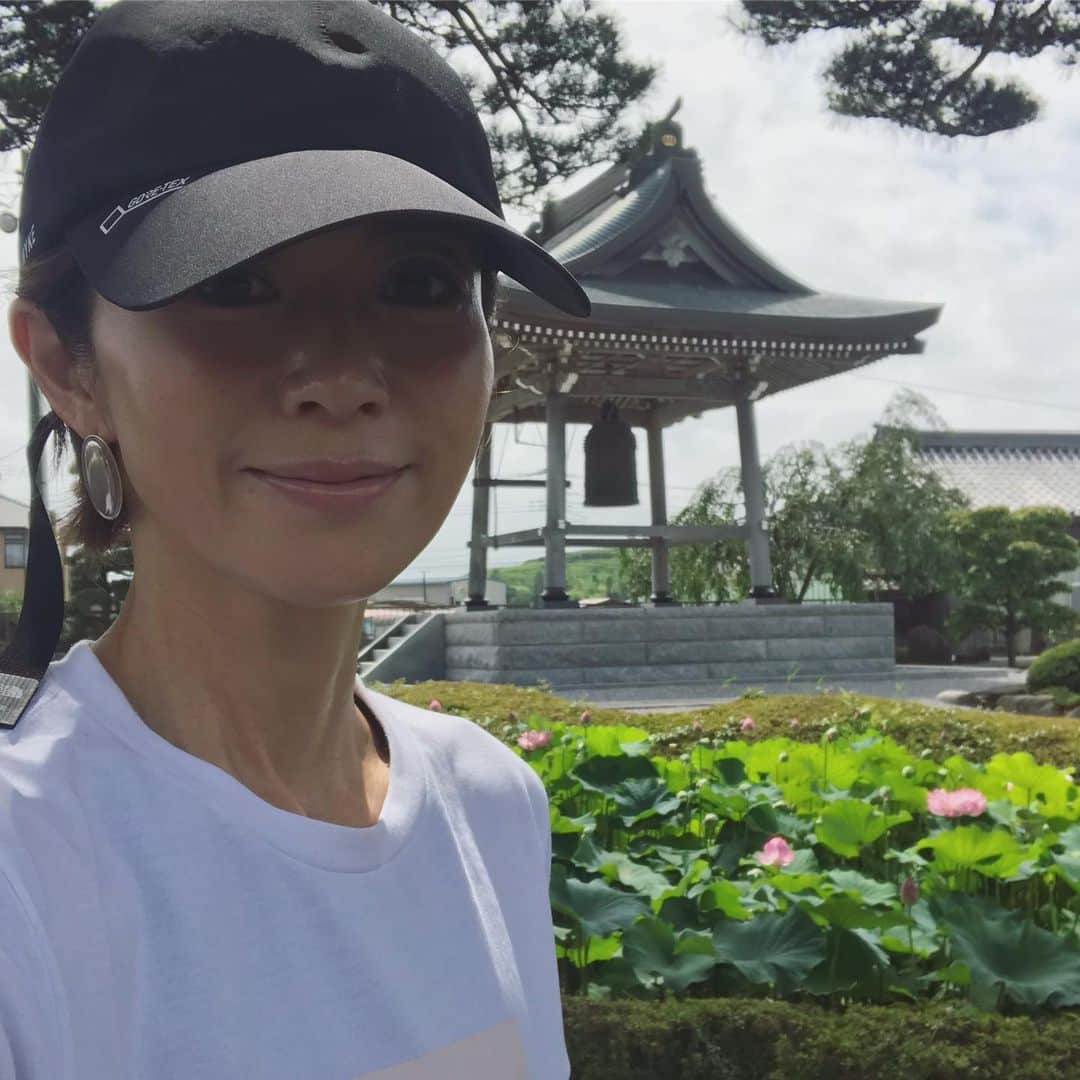 畑野ひろ子さんのインスタグラム写真 - (畑野ひろ子Instagram)「お墓参りでお寺に行ったら、蓮の花が凄く綺麗で思わず記念撮影してしまいました😊」8月13日 20時42分 - hiroko_hatano_