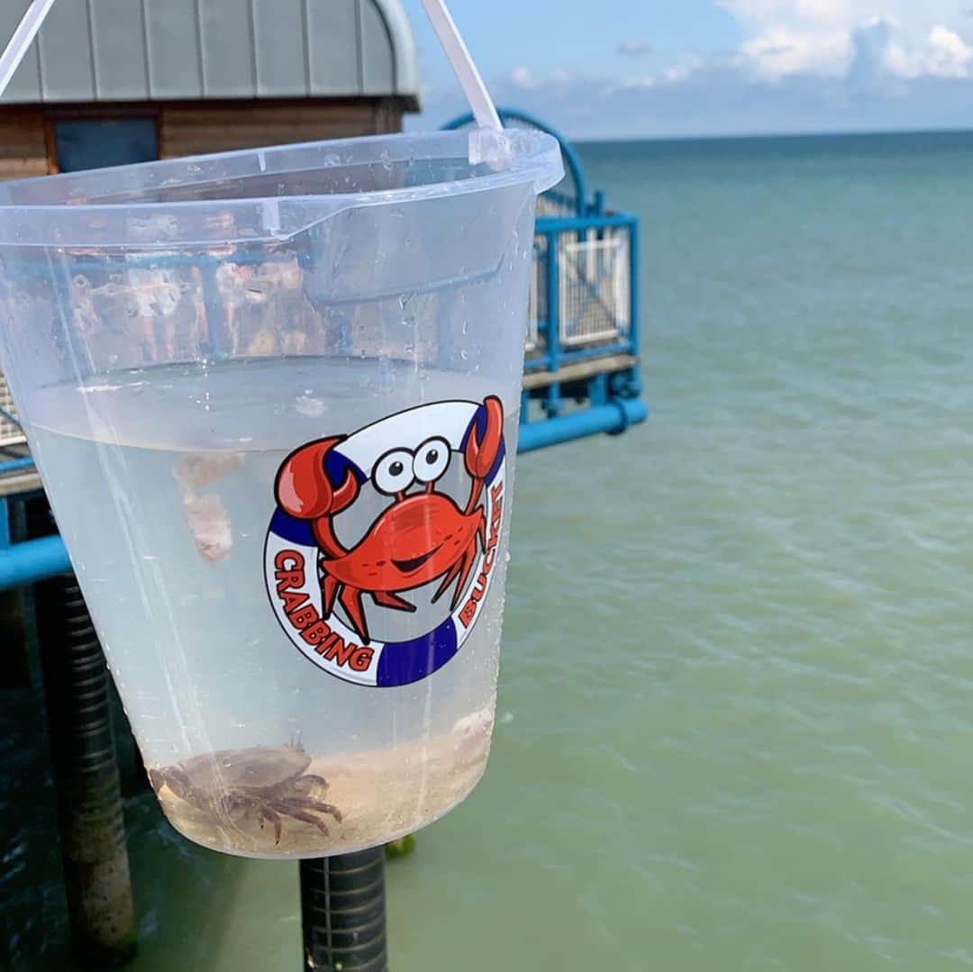 ティム・クルルのインスタグラム：「First crab I caught in my life 🤣👌🏻🦀 #cromerpier」