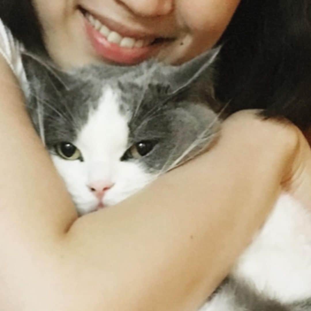 小谷実由さんのインスタグラム写真 - (小谷実由Instagram)「やっと会えて歓喜するひとと、通常運転の無の猫」8月13日 20時56分 - omiyuno