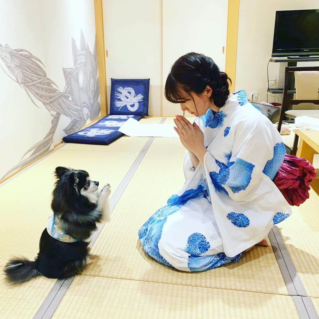 崎山一葉さんのインスタグラム写真 - (崎山一葉Instagram)「琉球トラウマナイト レジェンド2019  ご覧いただき、ありがとうございました🙇‍♀️🐶 #首里観音堂 #合掌犬 #コナン さん」8月13日 21時02分 - kazuha_sakiyama