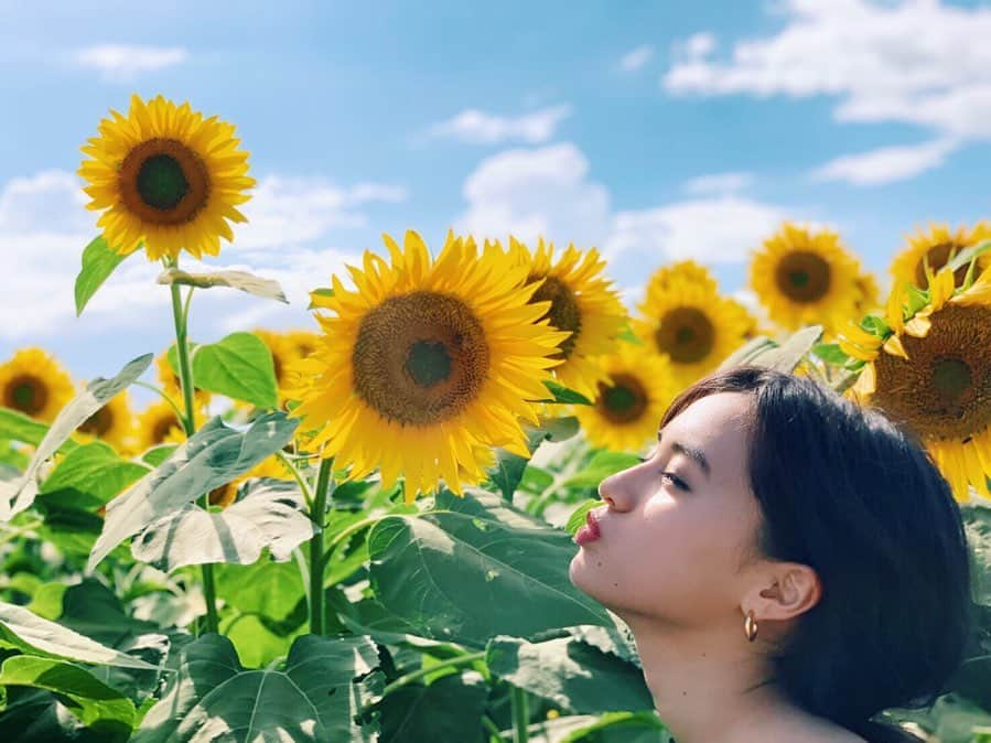 玖瑠実さんのインスタグラム写真 - (玖瑠実Instagram)「ひまわり畑🌻 綺麗で可愛くて、初めて見る景色に感動しました😍🥺 元気がでる〜！ #ひまわり畑 #山梨旅」8月13日 21時06分 - kurumi_0125_