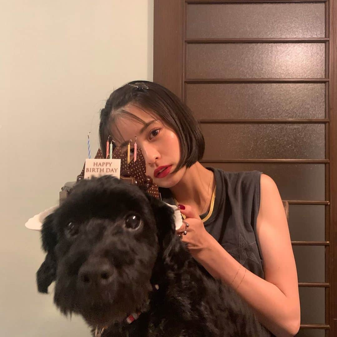 横田ひかるさんのインスタグラム写真 - (横田ひかるInstagram)「美味しかったな〜🎂🐶 Thanks always.」8月13日 21時40分 - _rncn950805