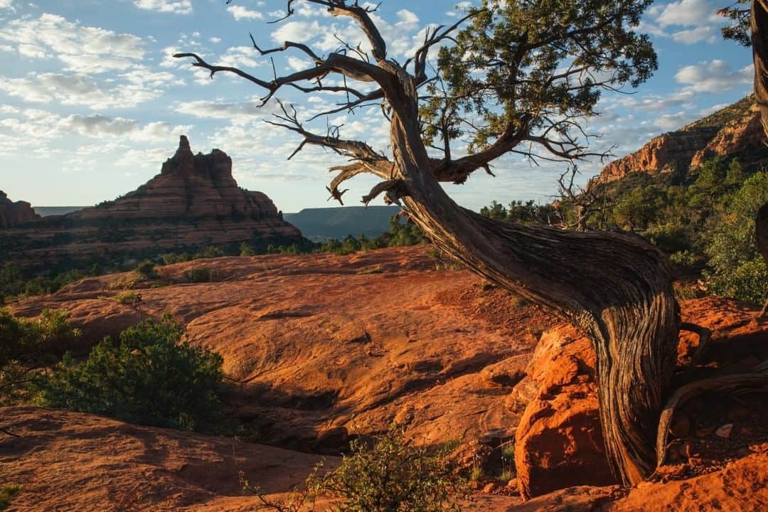National Geographic Travelさんのインスタグラム写真 - (National Geographic TravelInstagram)「Photo by @MichaelGeorge | What happens when an environment becomes too beloved? Sedona, Arizona is a magical place that has long attracted visitors seeking to immerse themselves in the red rocks. Certain trails and iconic locations have begun to deteriorate because of the ever-increasing volume of traffic. In an effort to save the environment, Sedona has released the 'Sedona Secret 7,' a website and program that outlines less crowded trails and locations. Exploring the Secret 7 is a benefit for all: Visitors get to experience the beauty without too many people, and the environment gets a chance to regenerate. Here you can see the Yavapai Vistra Trail at sunrise. #sedonaarizona #sedonasecretseven #sedona #yavapaivista #arizona」8月13日 21時59分 - natgeotravel