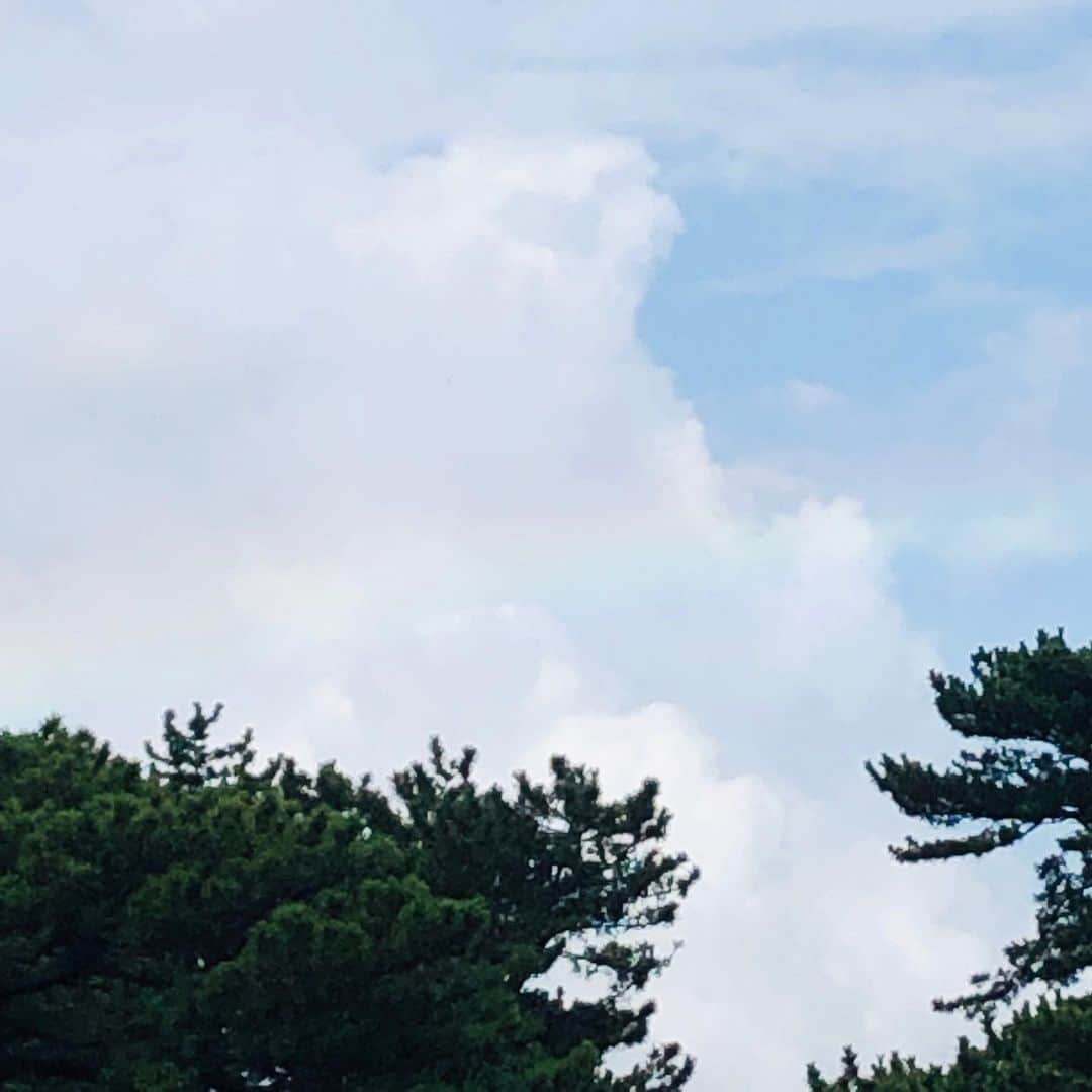 矢沢なりさんのインスタグラム写真 - (矢沢なりInstagram)「🌈幸せのお裾分け🌈 . 私の恩師の先生が、虹を見たら写真を撮って沢山の人に見せたらいい。 幸せのお裾分けをしてみんながhappyになって、貴女もhappyになるから😊 と、教えてくれました🌈🌈🌈 . 薄くてうまく撮れなかったんだけどね😂 →→iPhoneのSIMカード抜くところが壊れました👼」8月13日 22時18分 - nari_yazawa