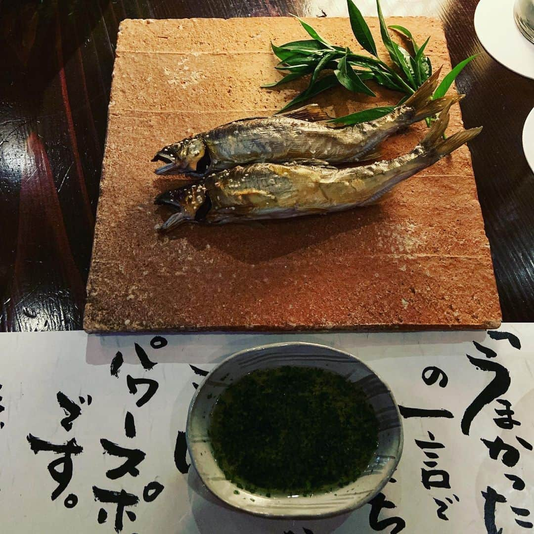 志摩有子さんのインスタグラム写真 - (志摩有子Instagram)「食いしん坊仲間と囲炉裏を囲んだカウンターで楽しむジビエのお店に。今の時季にはなんといっても熊本の清流で捕れた鮎。塩焼きに天ぷらに土鍋ごはん。この鮎ごはんが絶品。二杯目は鮎の骨から取っただしをかけて。もうたまらん。他にも鹿、真鴨、すっぽんも。囲炉裏の火に癒され、自然の美味を頂く。秋はきのこ、冬はぼたん鍋なども登場するそう。季節ごとに通いたくなった。 #囲炉裏 #ジビエ #いい時間 #食いしん坊仲間 #鮎料理 #ホスピタリティ満点 #リピ決定」8月13日 22時28分 - ariko418