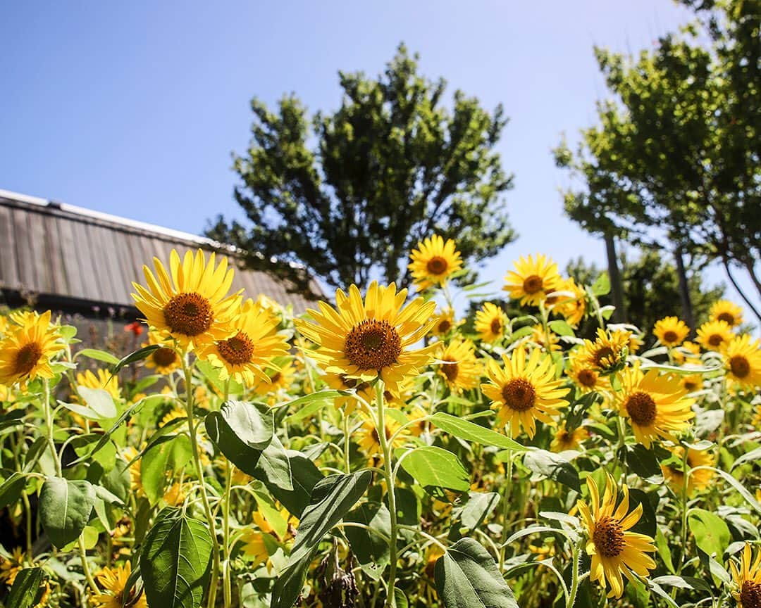 愛知県田原市のインスタグラム