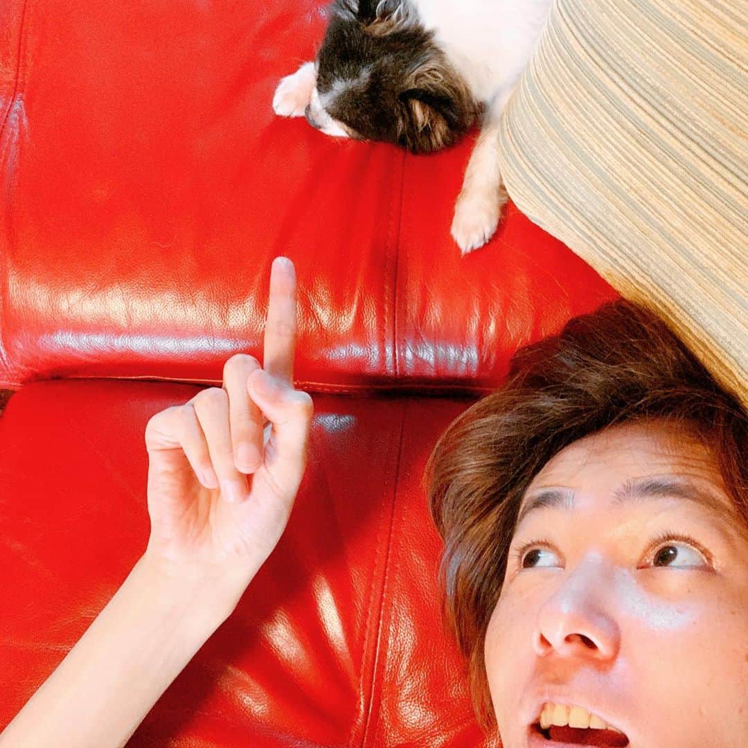椿隆之のインスタグラム：「夏バテに気をつけよう！  #夏 #summer  #夏バテ  #犬」