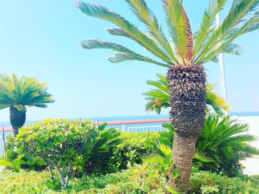 佐藤もも子のインスタグラム：「おはよう🏝☀ #夏 #海 #お盆 #summer #summervacation #vacation #sea」