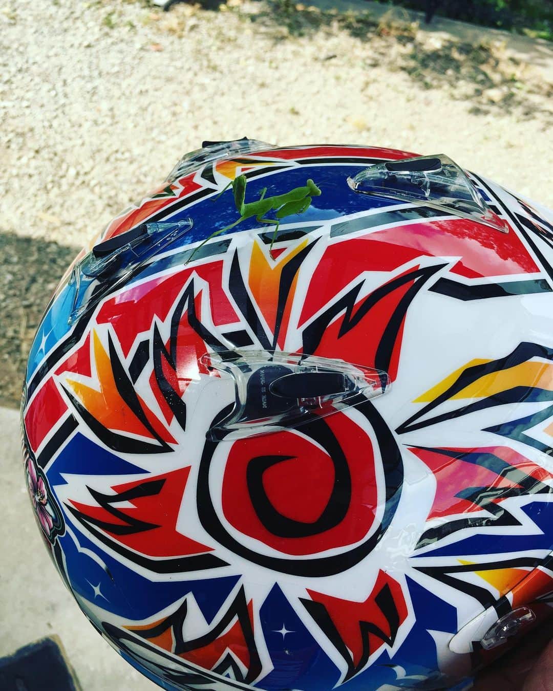 黒山健一さんのインスタグラム写真 - (黒山健一Instagram)「‪Araiヘルメットと、カマキリ😃‬」8月14日 9時16分 - kenichi_kuroyama