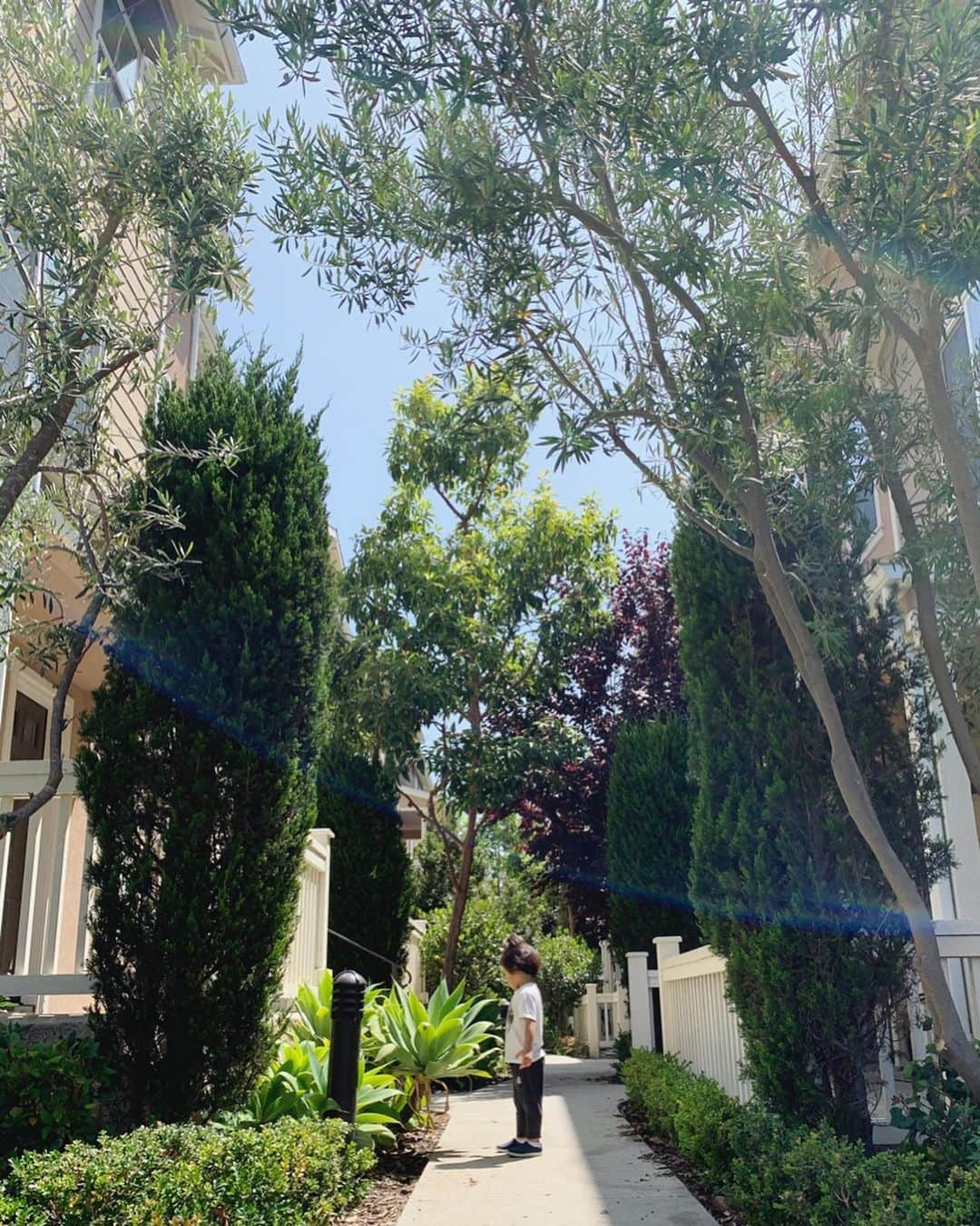 高木りなさんのインスタグラム写真 - (高木りなInstagram)「🌿✨🌿✨🌿 . . #losangeles #california #myson #mybabyboy #ロサンゼルス #カリフォルニア #엘에이 #로스앤젤레스 #캘리포니아」8月14日 9時22分 - rinasvoyage
