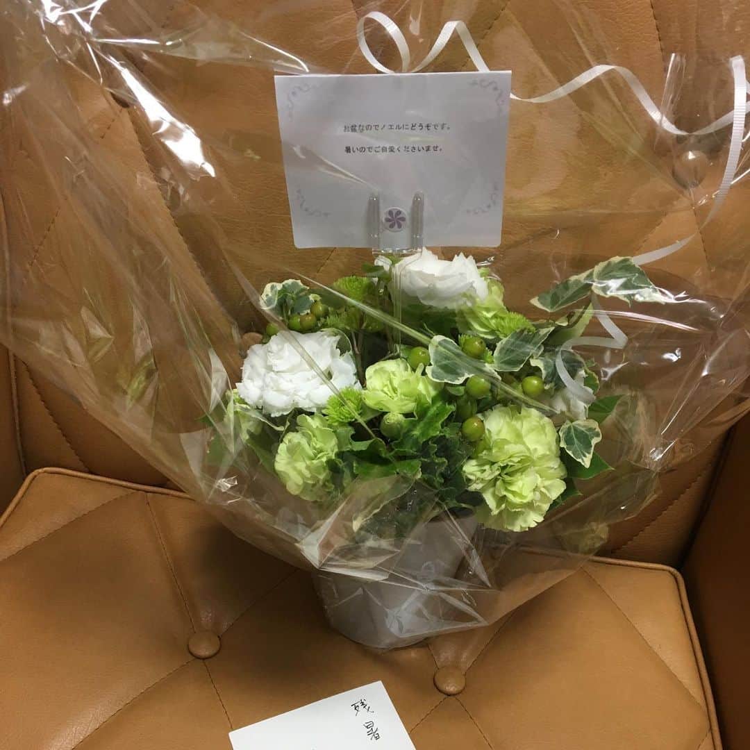範田紗々さんのインスタグラム写真 - (範田紗々Instagram)「ノンちゃんにお花 ありがとうございます」8月14日 9時25分 - handa_sasa