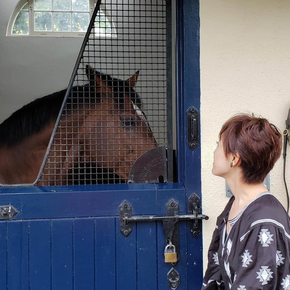 梅田陽子さんのインスタグラム写真 - (梅田陽子Instagram)「いろんな馬との出会いに感激した夏でした。  #名馬#馬#競馬#horse#horseracing#放送は秋から冬#お楽しみに#ヨーロッパ#答えは放送で」8月14日 0時41分 - yokoumeda