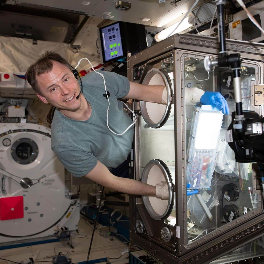 国際宇宙ステーションさんのインスタグラム写真 - (国際宇宙ステーションInstagram)「NASA astronaut Nick Hague works inside the Japanese Kibo laboratory module supporting research activities with the Life Sciences Glovebox. Hague is conducting science operations for the Cell Science-02 bone healing and tissue regeneration experiment. #nasa #jaxa #unitedstates #japan #science #research #international #space #station」8月14日 0時47分 - iss