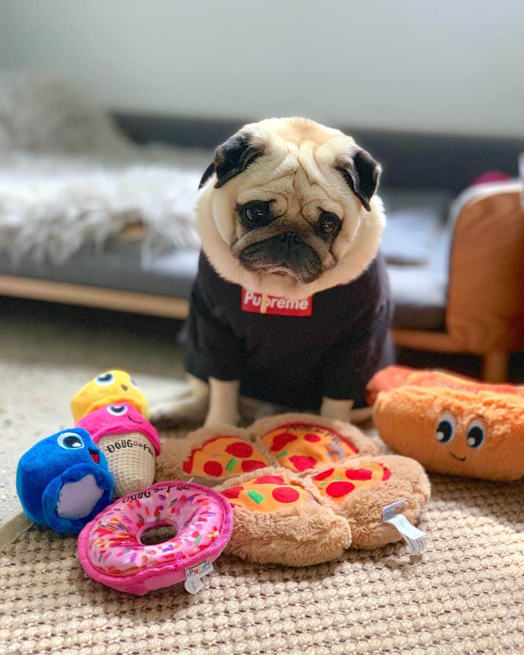 itsdougthepugさんのインスタグラム写真 - (itsdougthepugInstagram)「“I get by with a little help from my friends” -Doug • Look at all these doggos enjoying my brand new dog toy line!!! U can get them on Amazon RIGHT NOW (link in bio) - post a photo of ur pet with the toys for a chance to be reposted on my account 🍕」8月14日 1時20分 - itsdougthepug