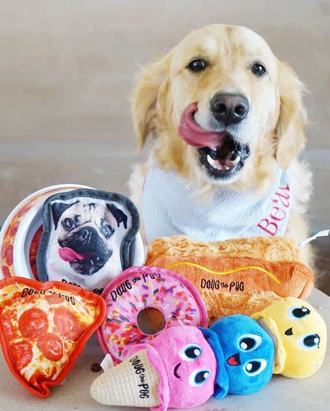 itsdougthepugさんのインスタグラム写真 - (itsdougthepugInstagram)「“I get by with a little help from my friends” -Doug • Look at all these doggos enjoying my brand new dog toy line!!! U can get them on Amazon RIGHT NOW (link in bio) - post a photo of ur pet with the toys for a chance to be reposted on my account 🍕」8月14日 1時20分 - itsdougthepug