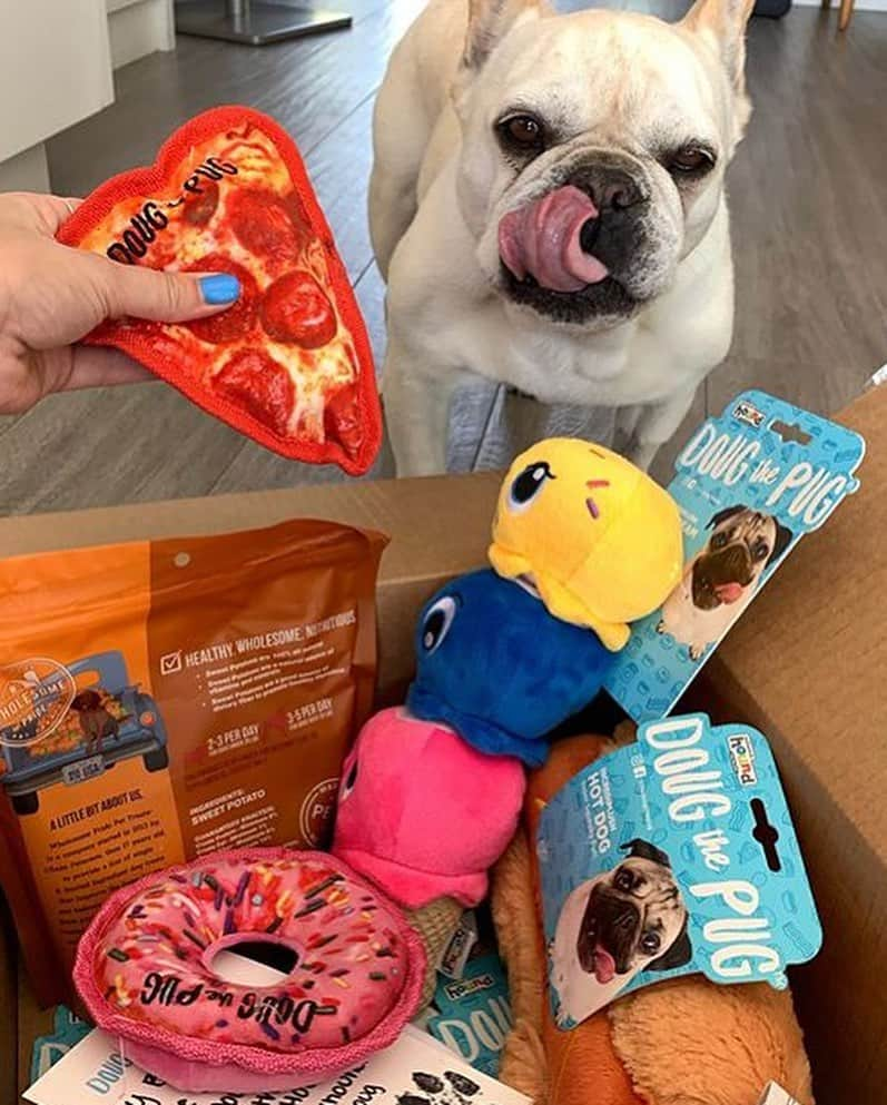 itsdougthepugさんのインスタグラム写真 - (itsdougthepugInstagram)「“I get by with a little help from my friends” -Doug • Look at all these doggos enjoying my brand new dog toy line!!! U can get them on Amazon RIGHT NOW (link in bio) - post a photo of ur pet with the toys for a chance to be reposted on my account 🍕」8月14日 1時20分 - itsdougthepug