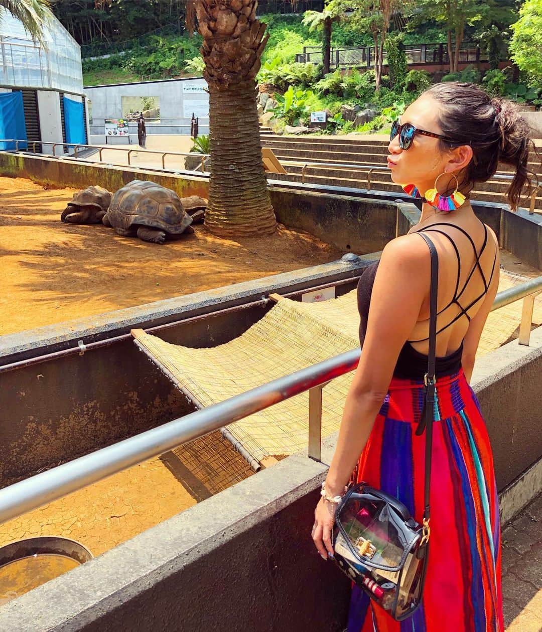 DJ JUICYのインスタグラム：「伊豆にある体感型動物園iZOOに行きました😉❤️🐢🌴 象亀に乗って写真撮りたい💚と思ってわくわくしてたら... 子供だけだった...💦 ですよね...💦 体重かなりオーバーしてますわ🤦🏻‍♀️💦 #動物園#ぞうがめ#イズー#伊豆」