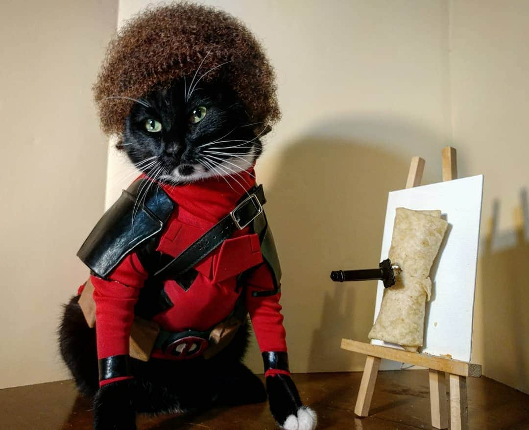 猫コスプレさんのインスタグラム写真 - (猫コスプレInstagram)「There are no mistakes.  Just happy little chimichangas.  #Deadpool #BobRoss . . . . . . #deadpoolcosplay #bobrosscosplay #deadpoolbobross #thejoyofpainting #catcosplay #catcostume #catsinclothes #petclothes #petcostumes #cosplay #bestcat #cats #chimichanga」8月14日 2時22分 - cat_cosplay