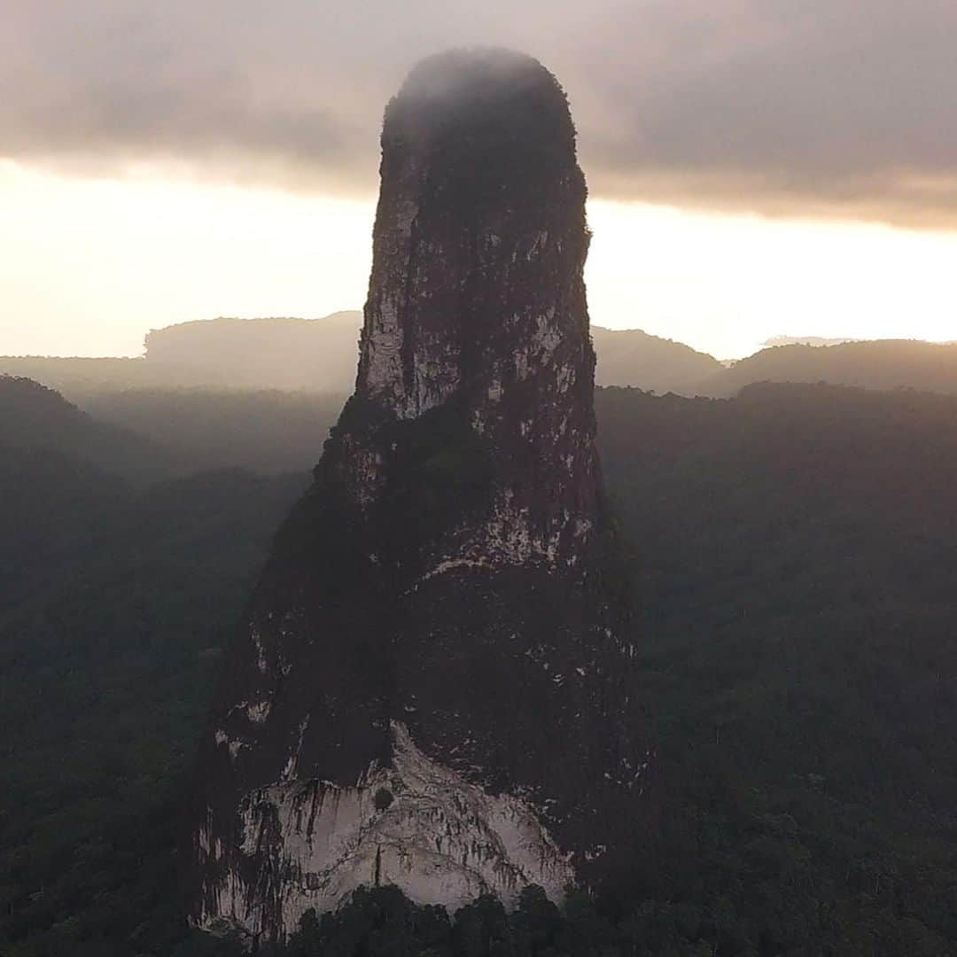 サッシャ・ディギーリアンさんのインスタグラム写真 - (サッシャ・ディギーリアンInstagram)「The SUMMIT!  I can’t believe it. - After a consecutive 17 days of rain, the skies miraculously opened for our final days. This window provided a sliver of a chance to climb this jungle tower. - While my goal was to free climb Leve Leve, trad climbing through loose blocks of rain soaked rock wasn’t safe. Gear did not hold and tv-sized craters were dropping. We switched to @gazleah “Nubivagant.” - The relentless rain left the rock face totally soaked and muddy, with small cascades of water runoff. Given the dangling loose blocks, the route was a test of risk mitigation. It was a delicate balance of free climbing what was safe-ish, and supplementing with aid when the risk was too high to personally accept. - This was one of the most physically exhausting, mentally draining climbs of my life. - Why do it?  I had the goal to stand on top of this sublime feature that towers the island; an adventure that I didn’t know if I could do or not. It became my focus; I trained to prepare for the unknown and was excited and nervous by the prospect of this remote challenge. - There are so many levels of risk that envelop the layers of our sport. When I competed, I was climbing on plastic and the risk was minimal. Sport climbing outside, a lot of the accidents are human error. Then, when you switch over to bigger walls, you have the experience of this wild adventure, but also the danger of the given terrain at times increases. - This climb was more loose than I anticipated; there are portions of the wall that are like jenga blocks stacked, waiting to fall. - That said, when the rain stopped, the risk at least decreased a degree. I felt more in control of mitigating our movement and exposure. The close calls we had, had they not been that and led to injury or fatality, would it be worth it? Of course not. But that’s the tricky line of pushing for something like this and where I can’t confidently say why this was worth it to me beyond feeling in control enough. - I am so proud of my team. We stood on top and (importantly) rappelled down safely. I feel so grateful 🙏🏻」8月14日 3時32分 - sashadigiulian