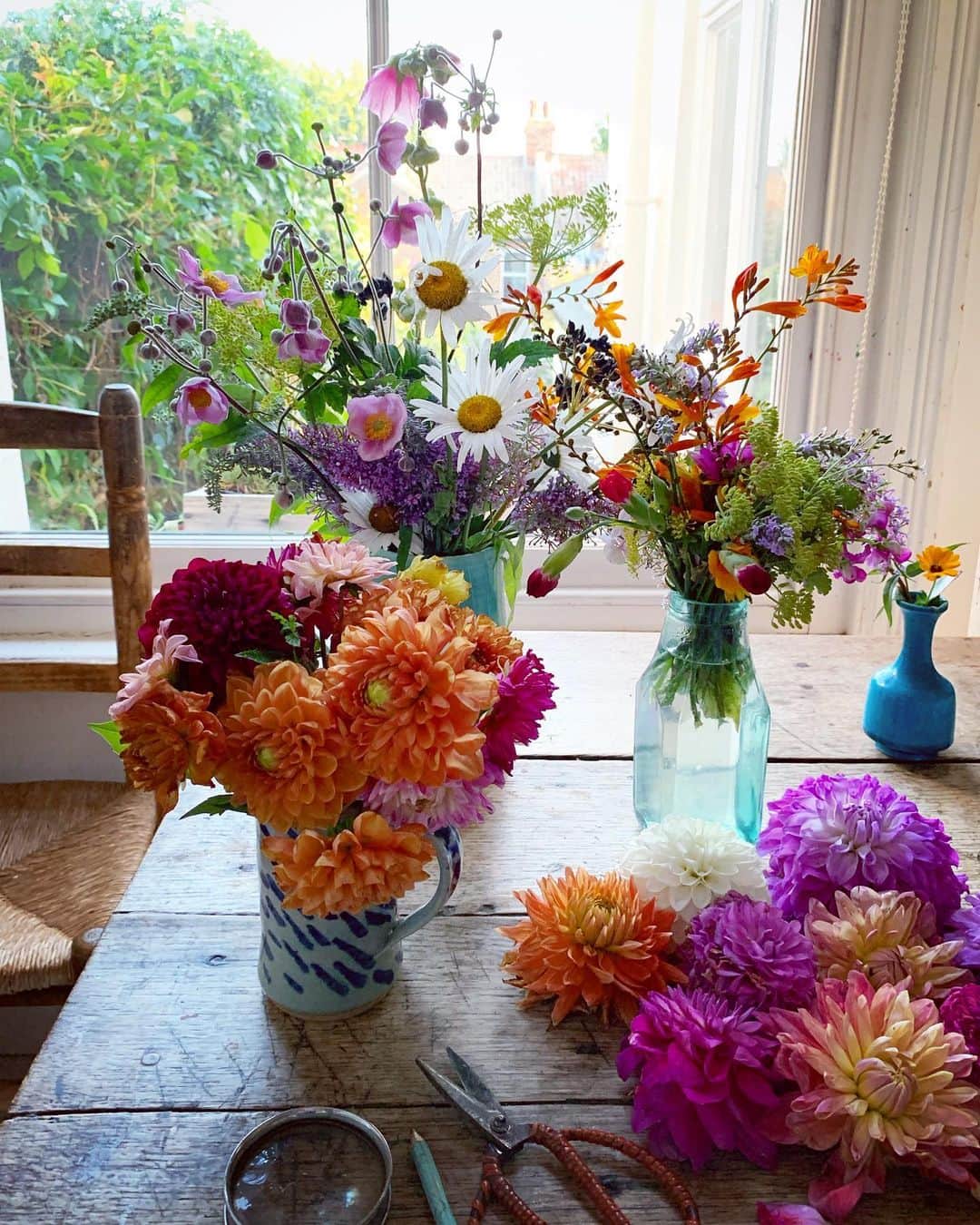 Tea and sittingのインスタグラム：「Back in Brighton with Cornish dahlias...🌿 ( more in my Stories )」