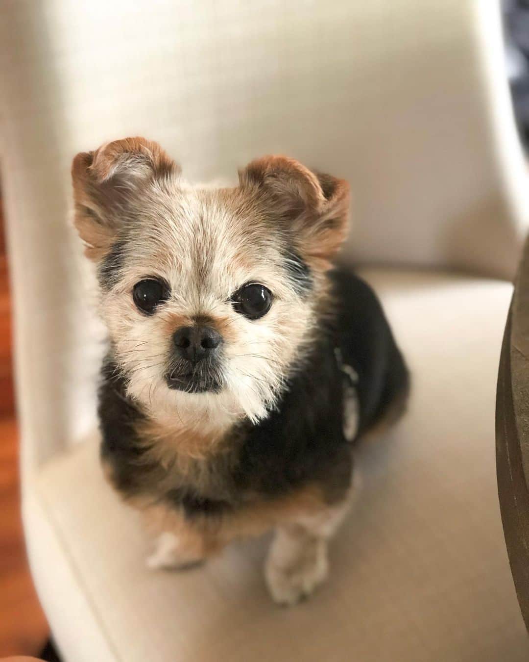 サマンサ・ドロークのインスタグラム：「My lunch date every day. 🥰」
