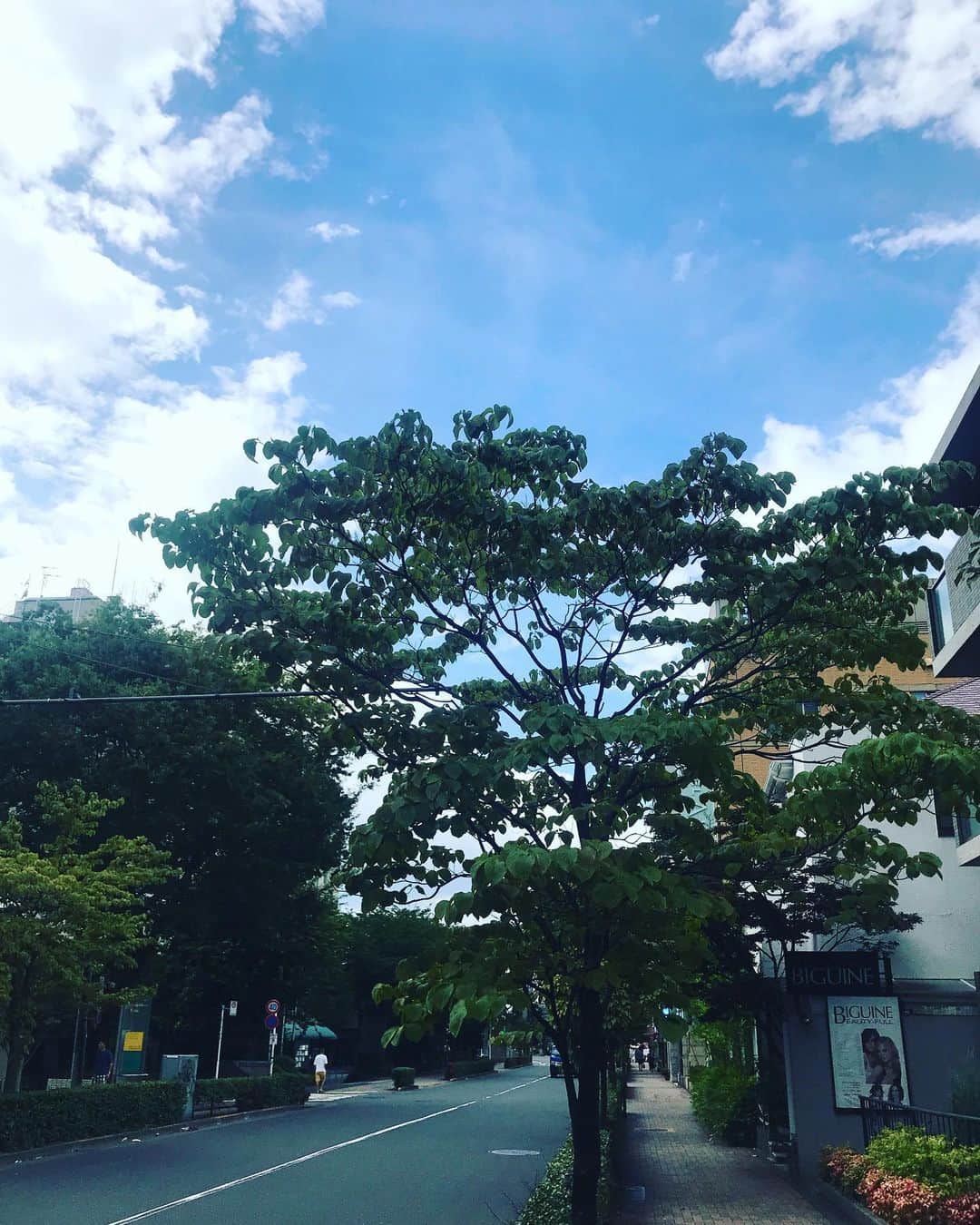 角田陽一郎さんのインスタグラム写真 - (角田陽一郎Instagram)「空から雲が切り取った青空と、木の緑が相似形。閑散とした都内の道。」8月14日 5時01分 - kakuichi44