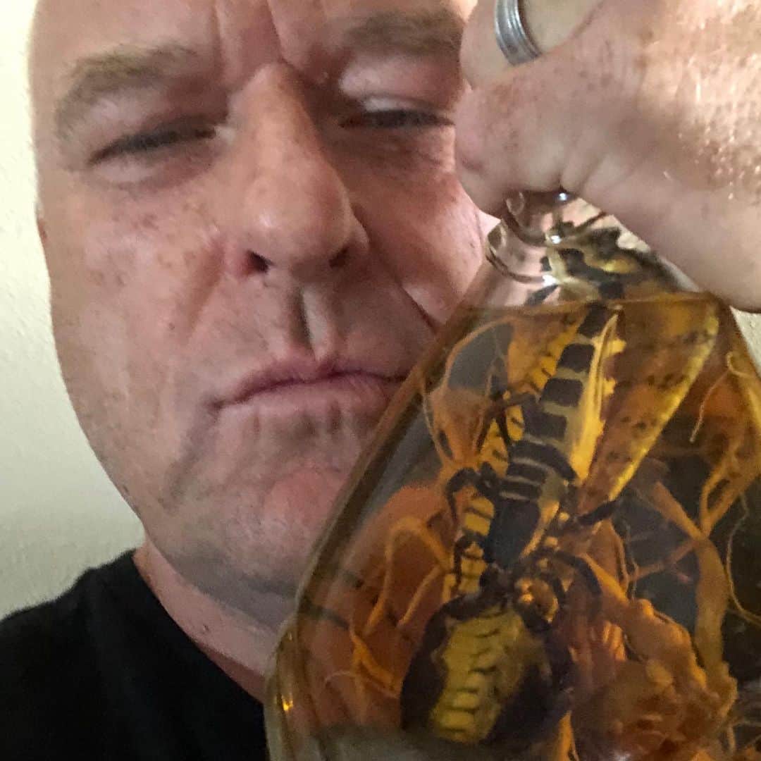 ディーン・ノリスのインスタグラム：「This is what #whitneycummings gave me as a gift when I guest starred on her show. A cobra literally eating a scorpion in a bottle of booze. Still scared to take a sip. Nipple extort Whitney at your peril punkasses.」