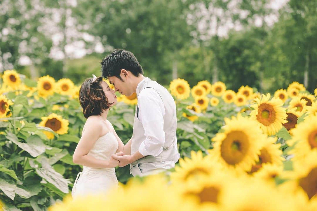 STUDIO SOLAさんのインスタグラム写真 - (STUDIO SOLAInstagram)「ひまわり畑🌻 . Photo: @y_yamamura_tvb  Hairmake: @yurie.hm_aquaasakusa . お問い合わせはトップページ https://st-sola.jp/ よりご覧下さい。 . .  #スタジオsola #STUDIOSOLA #スタジオソラ  @decollte_weddingphoto @decollte_weddingstyle @d_weddingphoto_jp #weddingphoto  #instagood #結婚式前撮り #新婚旅行 #チェリフォト #北海道旅行 #富良野 #北海道前撮り#牧場 #ロケーションフォト #tokyo_camera_club #前撮り#東京カメラ部 #weddingdress #prewedding #写真好きな人と繋がりたい #2019春婚 #ひまわり畑  #ラベンダー  #ウエディングヘア #wedding #結婚写真 #前撮り #プレ花嫁#卒花嫁 #日本中のプレ花嫁さんと繋がりたい #結婚式 #結婚式準備」8月14日 7時31分 - studiosola_hokkaido