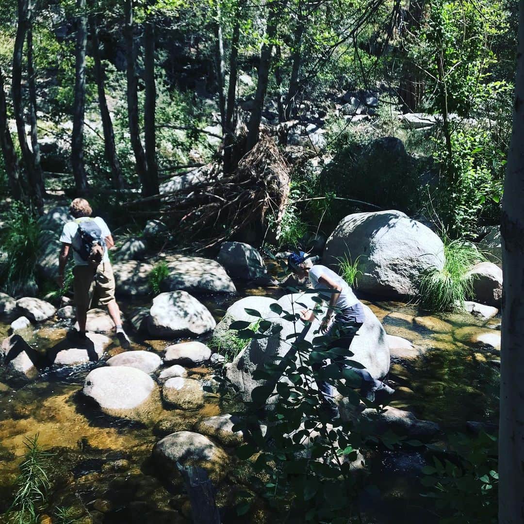マギー・グレイスのインスタグラム：「Hikes with my dad and brother 🌲❤️ This is truly the Good Stuff in life. #leavenotrace #hikingbuddies #lucky」