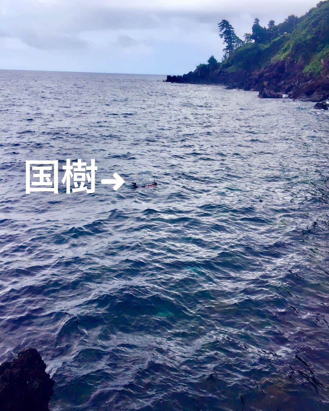 喜国雅彦＆国樹由香さんのインスタグラム写真 - (喜国雅彦＆国樹由香Instagram)「おさかな沢山見ました（由）  #summervacation #sea #snorkeling #izuoshima #island #tokyo #japan #夏休み #伊豆大島 #海綺麗 #ここも東京都 #すごいね」8月14日 7時59分 - kunikikuni