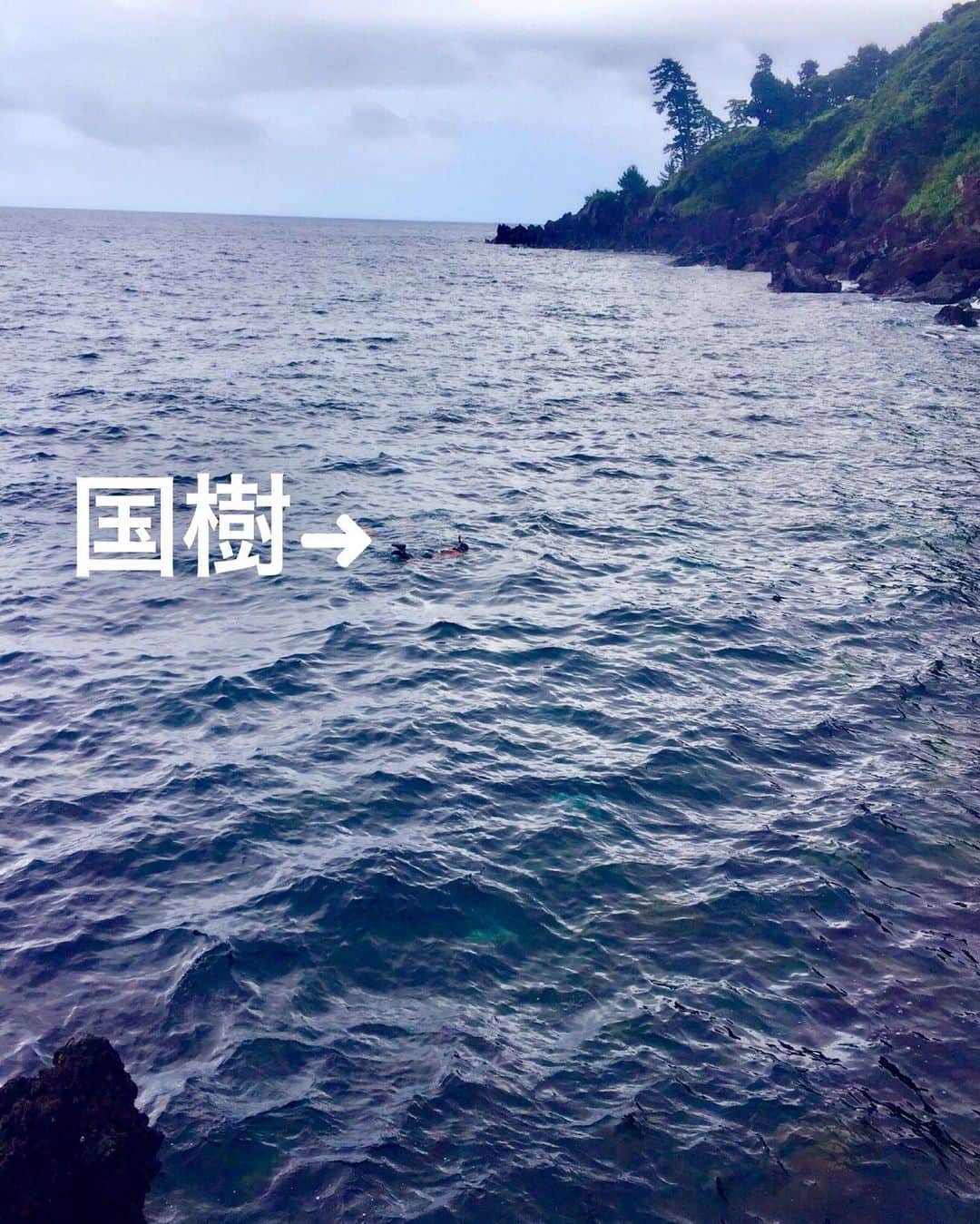 喜国雅彦＆国樹由香のインスタグラム