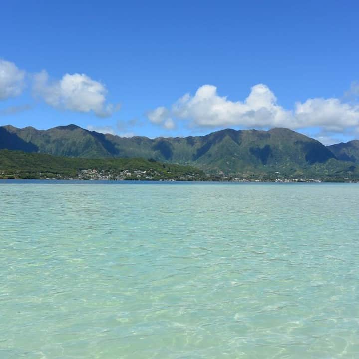 Luxury Cruise by Captain Bruceさんのインスタグラム写真 - (Luxury Cruise by Captain BruceInstagram)「🔹ツアー中振り返ると、エメラルドグリーンの海の向こうに見えるオアフ島。⁠ ⁠ 不思議な感覚ですね。⁠ ⁠ ⁠ #captainbruce ⚓#sandbar #kaneohe #hawaii #oahu #oahulife #vacation #ahuolaka #キャプテンブルース #天国の海ツアー #天国の海 #アフオラカ #ハワイ大好き #夏休み #絶景 #海」8月14日 8時00分 - cptbruce_hi