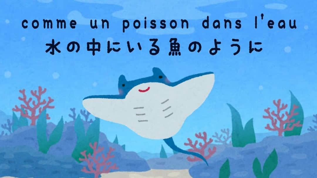 フランス大使館さんのインスタグラム写真 - (フランス大使館Instagram)「【今日の言葉🇫🇷】「水の中にいる魚のように」とは、文字通り「水を得た魚」という意味。日本語の「水を得た魚」は『三国志』に由来する表現のようですが、フランスにも同じ発想があるのがおもしろいですね。何かつながりがあるのでしょうか 🐠🌊？ 🇫🇷#Parlezvousfrancais ? Au Japon, on emploie une expression similaire : 水を得た魚 (mizu wo eta uo) 🐠🌊 !」8月14日 8時00分 - ambafrancejp