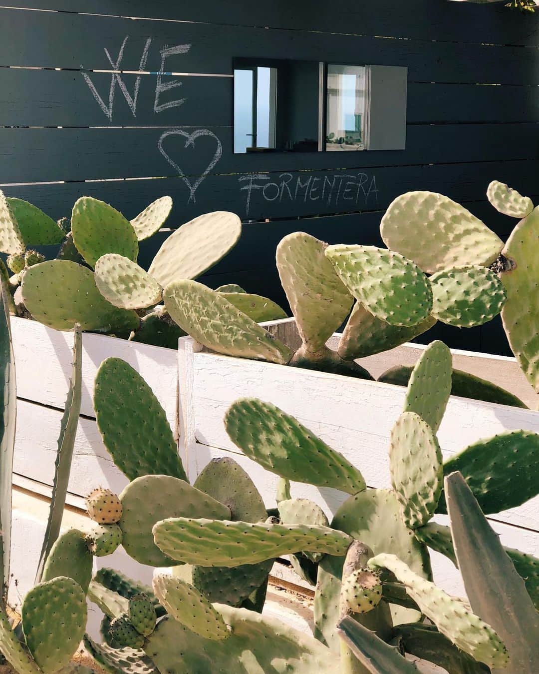 のインスタグラム：「Everybody loves you 🌴💋 ・ #weloveformentera」