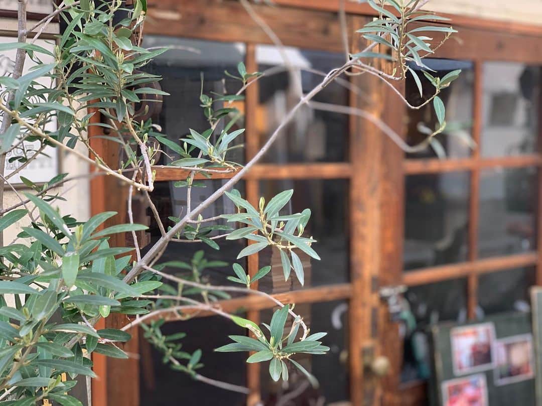 パスタ食堂 アントロワのグルメインスタ