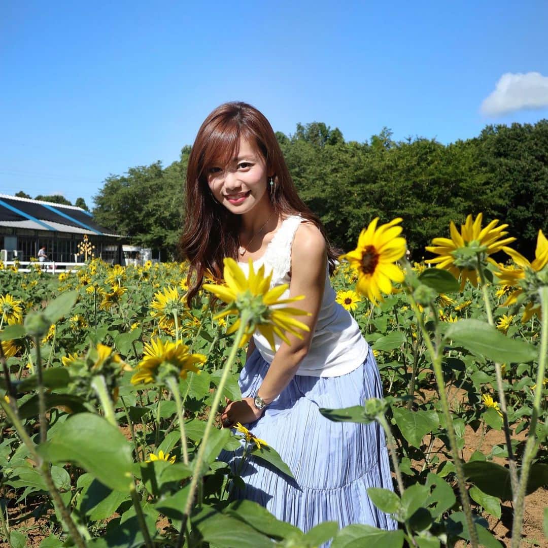 福山唯さんのインスタグラム写真 - (福山唯Instagram)「🌻ひまわり畑に行ってきたよ🌻 . .  少し丈の低いひまわり🌻💗 向日葵って見てるだけでとってもhappyな気持ちになるっ♫ 明るい黄色も太陽に向かってのびるところも、、、可愛くて大好き🐥✨ . . すっごく暑かったけど楽しかったなぁ💗 . . 台風が心配ですね🥺💦 気をつけてください♡  #sunflower #yellow #sun #summer #summervacation #japan #ひまわり畑 #ひまわり #向日葵 #夏休み #るんるん 💛」8月14日 17時56分 - yuifukuyama