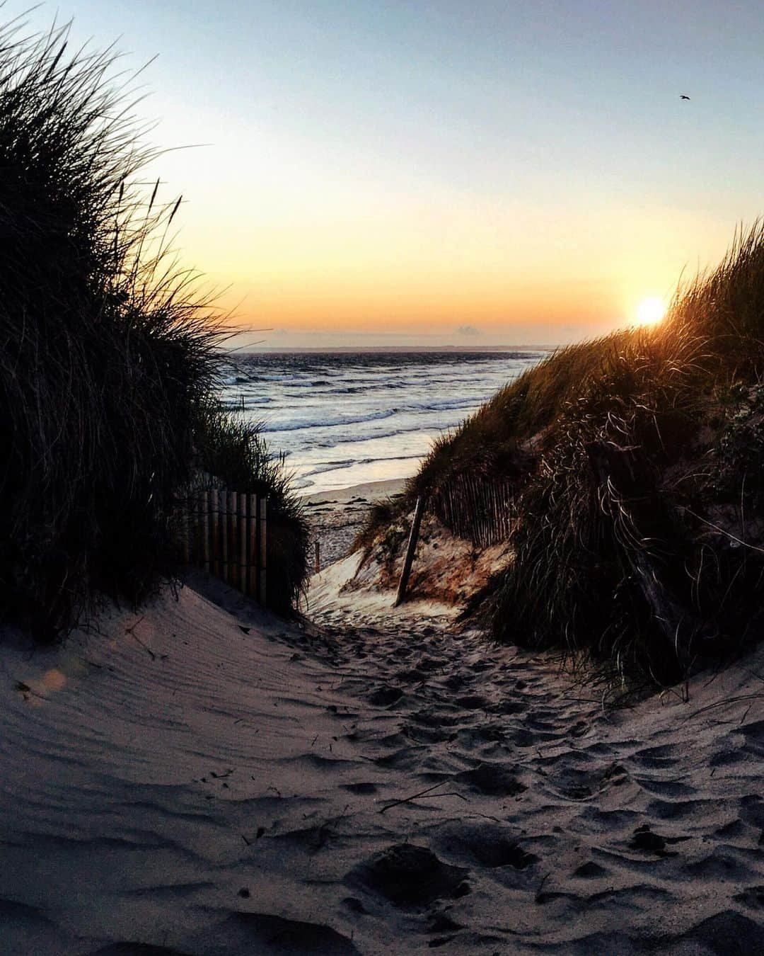 NICOLAS SIMOESさんのインスタグラム写真 - (NICOLAS SIMOESInstagram)「Sunsets on the beach. My favourite moments in summer... 📸✨」8月14日 18時04分 - nicolassimoes