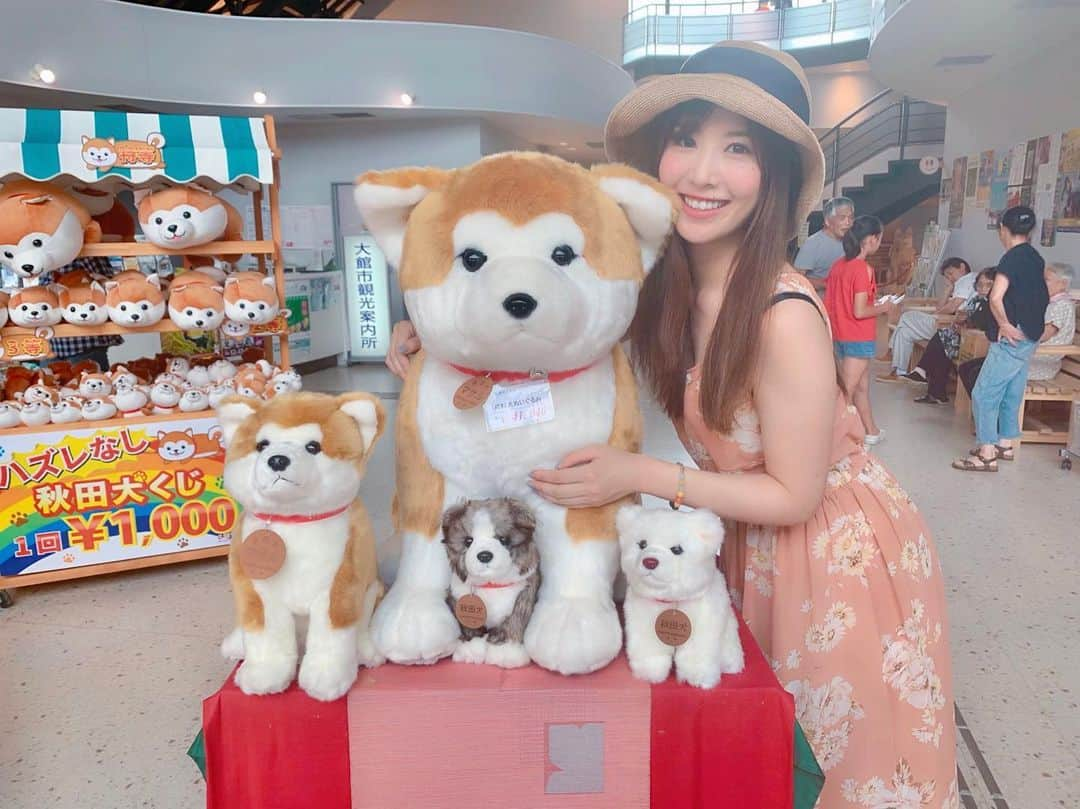 千代田唯さんのインスタグラム写真 - (千代田唯Instagram)「秋田犬の里🐶❤️ マサル犬人形^ ^可愛いすぎて即購入しました✨ちっちゃいの♡ しかも2匹🐶💗笑 お腹いっぱいだったから食べれなかったけど、枝豆ソフトクリーム 次食べたい！！絶対🙏✨ #大館 #秋田犬 #マサル #ザギトワ選手  #ハチ公 #秋田旅行 #わんこ #秋田犬の里 #夏休み #お墓参り #旅行好き  #タビジョ #いぬすたぐらむ  #akita #akitainu  #akitatrip #travelgram  #travel #dog #japantravel  #여행 #旅游 #instatravel #summer #summervacation」8月14日 18時04分 - chiyodayui0920