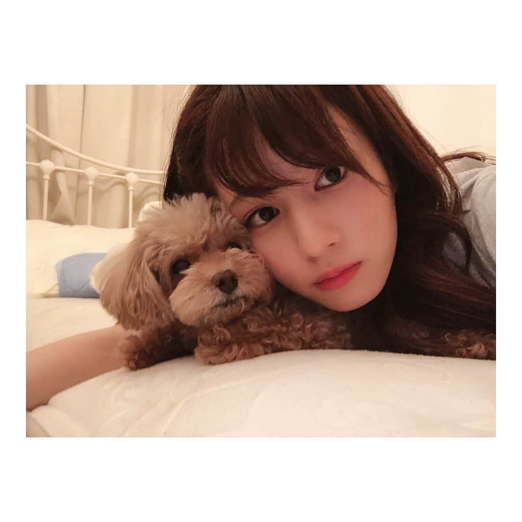 堤礼実さんのインスタグラム写真 - (堤礼実Instagram)「🐶 先日のあんじゅさん。 ベッドで一緒にごろごろタイム。 それはもう、文字通りごろごろと過ごしました。 . #お仕事の疲れを癒してくれます #この時りんさんはリビングで爆睡中 #私の元気の源は #もぐもぐタイムではなく #ごろごろタイム」8月14日 18時29分 - reimi_tsutsumi1123