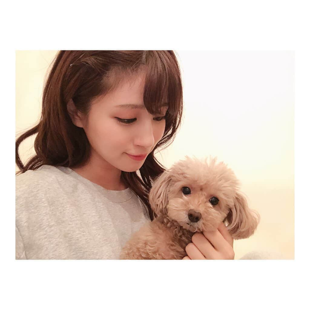 堤礼実のインスタグラム：「🐶 先日のあんじゅさん。 ベッドで一緒にごろごろタイム。 それはもう、文字通りごろごろと過ごしました。 . #お仕事の疲れを癒してくれます #この時りんさんはリビングで爆睡中 #私の元気の源は #もぐもぐタイムではなく #ごろごろタイム」