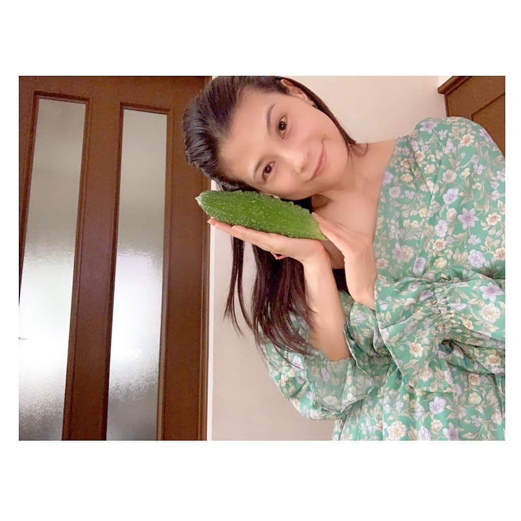 七瀬遥さんのインスタグラム写真 - (七瀬遥Instagram)「実家で育ったゴーヤが可愛くてたまらないっ😆😙😘笑笑  #可愛い#ゴーヤ#cute#good#love#smile#happy#tokyo#japan」8月14日 18時37分 - haruka_mh