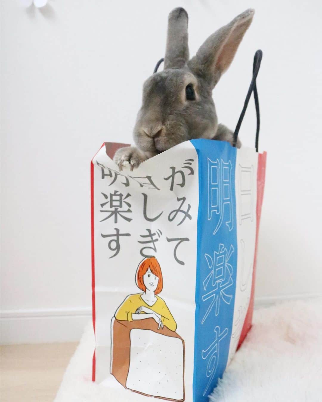 Kayoのインスタグラム：「🍞 #明日が楽しみすぎて ・ ・ プレーンは買えなかったけど、 ［ドキドキなサボタージュ］レーズン食パン激うま♡ (あ、🍞の写真はないww) そしてこの紙袋✨ 紙袋フェチなワタシにはたまらない♡ そしてさーくに記念にINしてもらう ・ ・ カメラロール大渋滞ゆえ投稿活動中 コメントお気遣いなくですー☺︎」