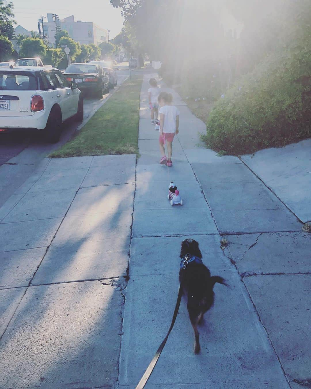 ケヴィン・ゼガーズさんのインスタグラム写真 - (ケヴィン・ゼガーズInstagram)「Dog walking.」8月14日 10時19分 - kevinzegers1984