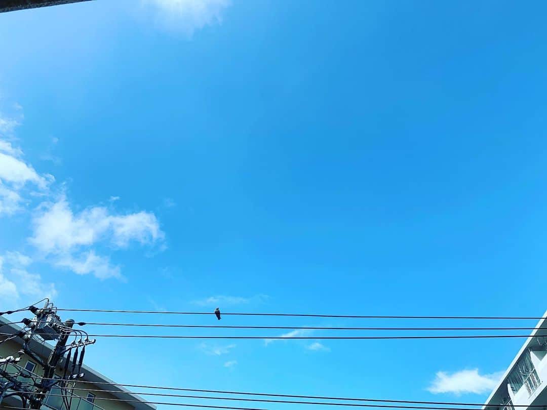 一三さんのインスタグラム写真 - (一三Instagram)「朝立から一転，快晴の東京副都心界隈。  天気予報では，昼立もあるそうな。 ※朝立とは，朝チンコが立ったという意味では無いので悪しからず。」8月14日 10時14分 - ichizou.co.jp