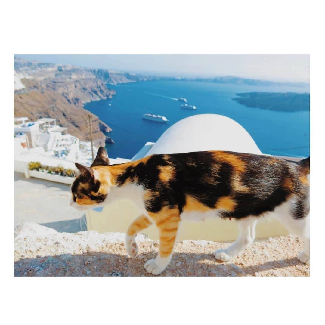 広瀬未花さんのインスタグラム写真 - (広瀬未花Instagram)「No.1 ✈︎Santorini/Greece✈︎ ・ ・ #もう一度行きたい場所 #travel #wannagoback  #recommend #greece #santorini  #beautiful #ocean  #ギリシャ #サントリーニ島 #エーゲ海 #旅 #地中海 #島」8月14日 10時25分 - micahirose