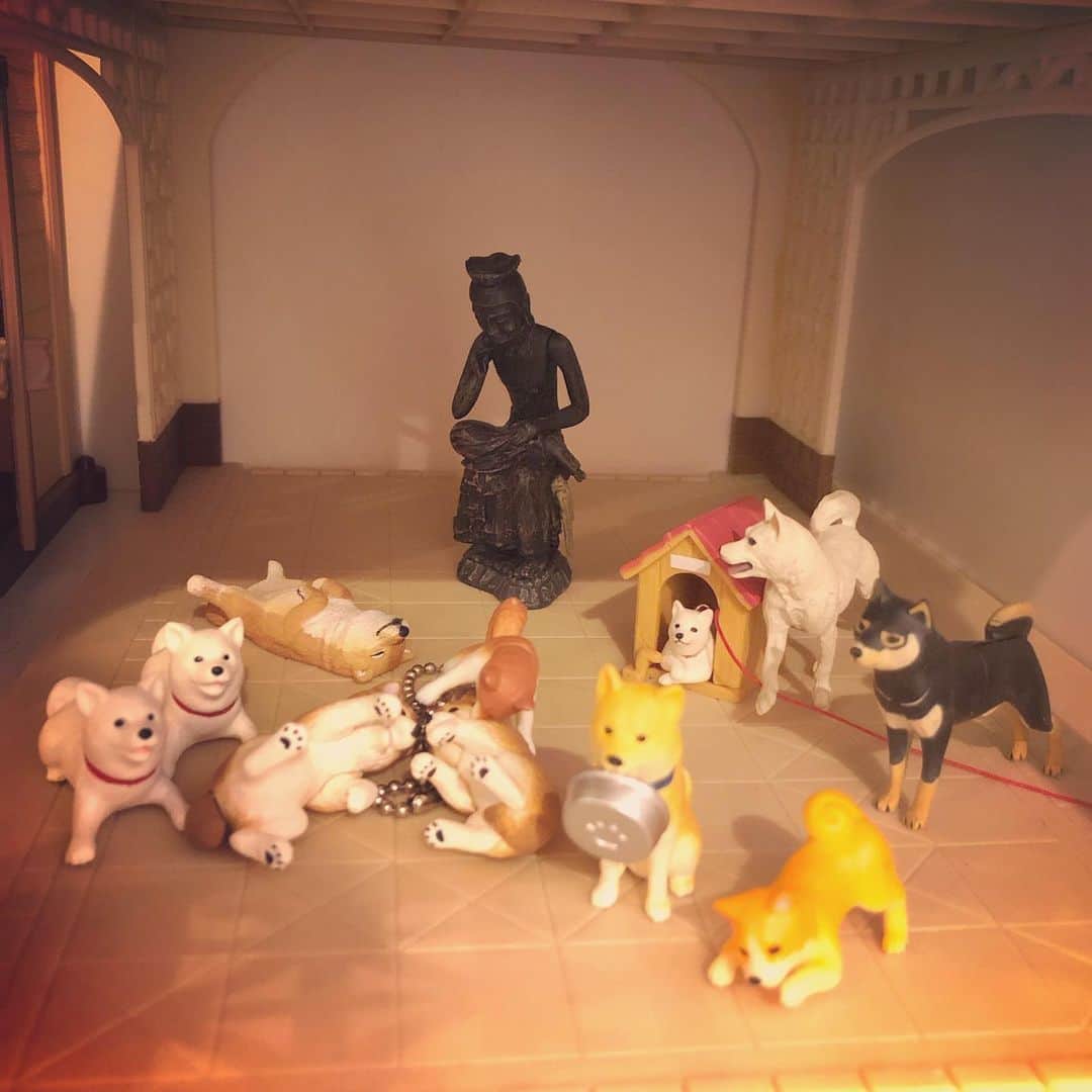 犬山紙子さんのインスタグラム写真 - (犬山紙子Instagram)「犬コーナー作った」8月14日 10時45分 - inuyamakamiko