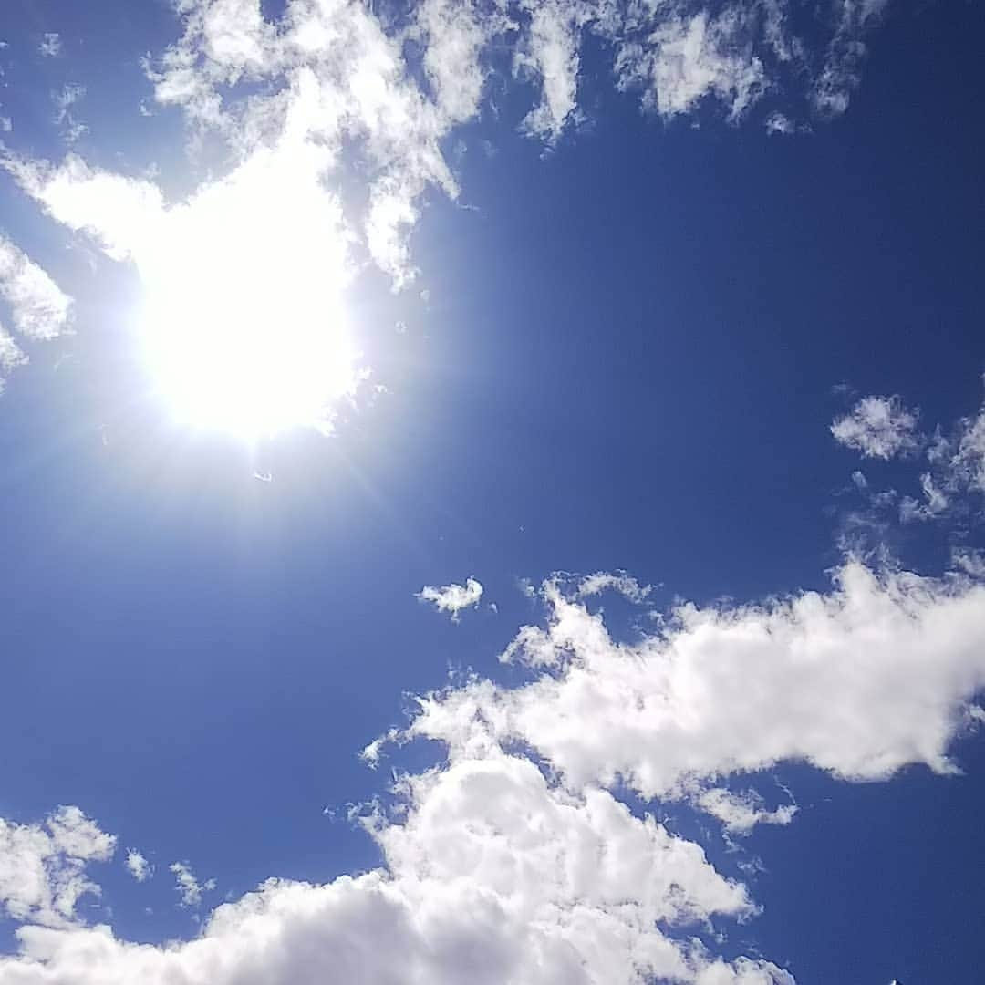 三宅裕子さんのインスタグラム写真 - (三宅裕子Instagram)「今日もいい天気🌞 お盆休み皆さんゆっくりしてますか？ お仕事の方もいるかな💦 ・ 涼しい #長野 もこの #猛暑 で昼間は珍しく暑くなっててびっくり😳 ・ ・ #野尻湖 #nojiriko #湖散歩 #family #ウェイクボード #来年こそ笑 #nagano」8月14日 10時57分 - yuko_miyake