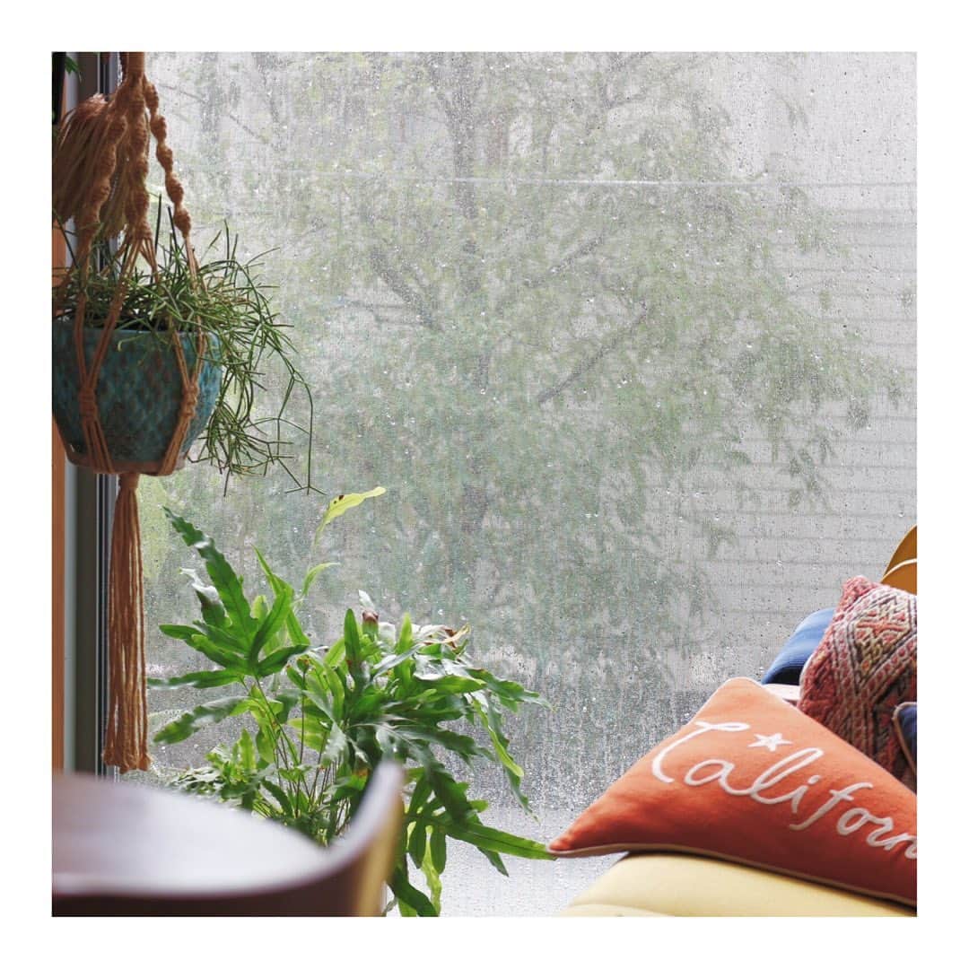 土井地恵理子さんのインスタグラム写真 - (土井地恵理子Instagram)「・ 朝から豪雨になったり 晴れたり 忙しい天気 ・ 子供たちは実家に行って 1人のんびり〜🏡 家の片付けしよ。 ・ ・ #雨のち晴れ #myhome #来週の旅行の下調べもせねば🌴　#d_home」8月14日 10時58分 - ericodoiji