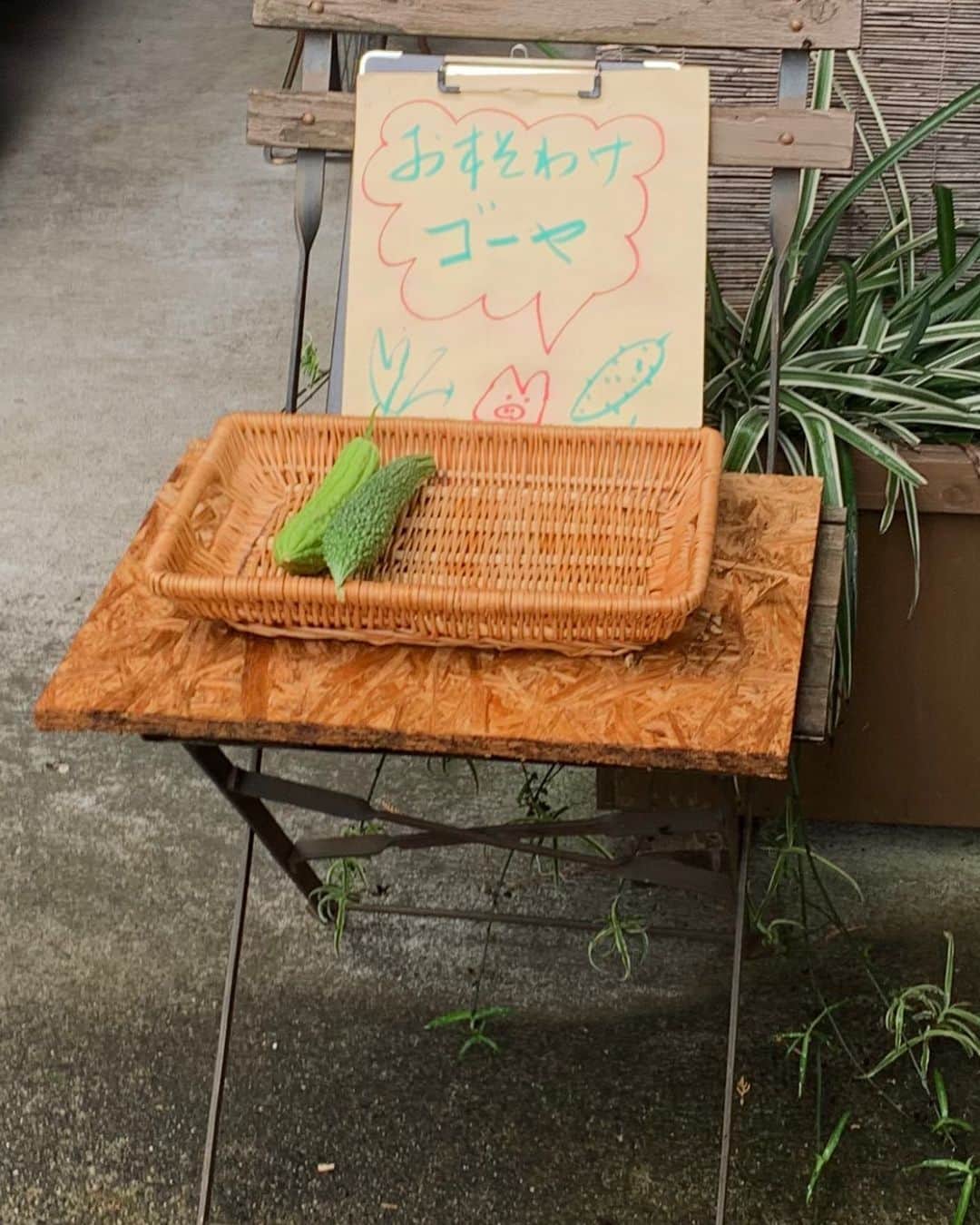 辻井亮平のインスタグラム