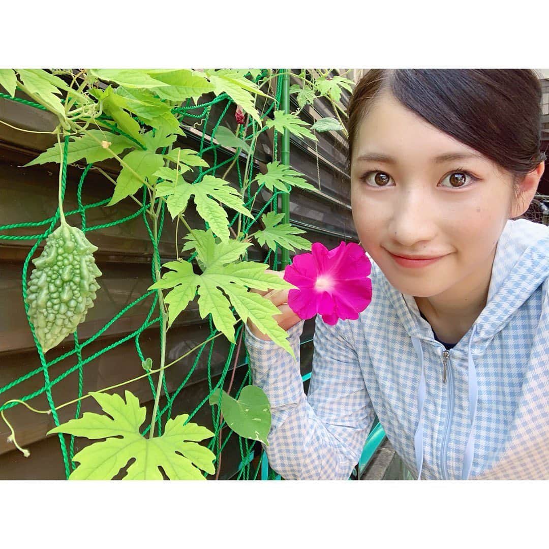 のインスタグラム：「. アサガオとゴーヤ😎🌼 いちなるハウスにも夏が！👒 . #いちなる #庭 #garden #朝顔 #ゴーヤ #野菜 #YouTube #ボンボンTV #me」